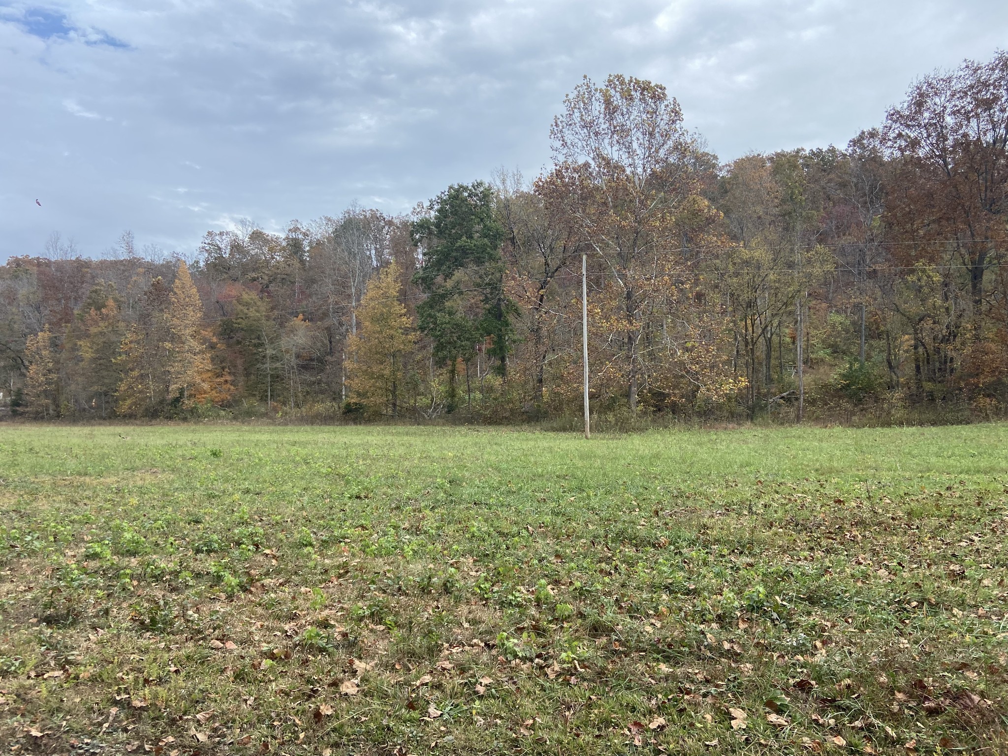 0 McCord Hollow Road Hohenwald, TN 38462 - Photo 10 of 33 Gallery Image 10