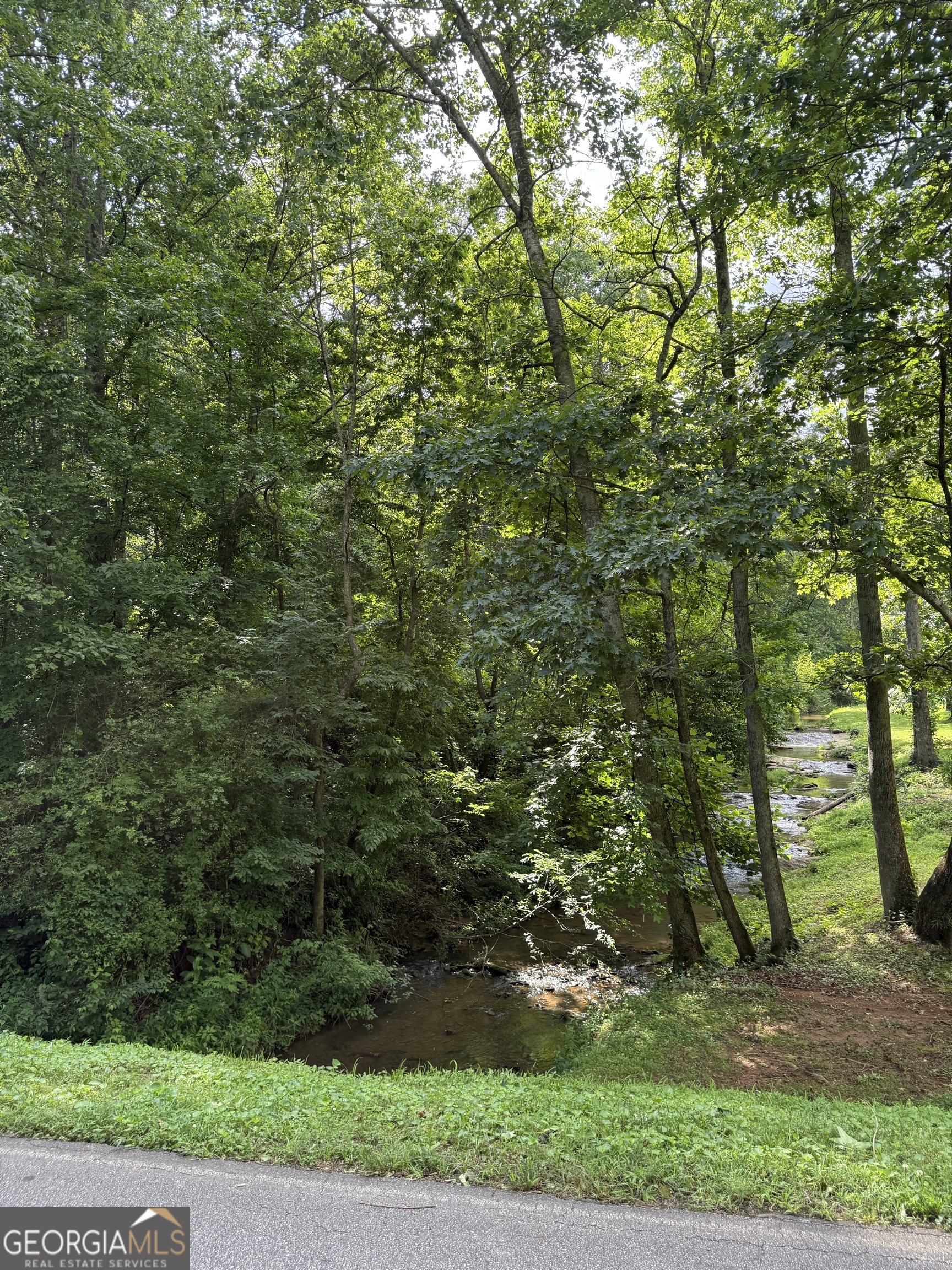 a view of a yard with a tree