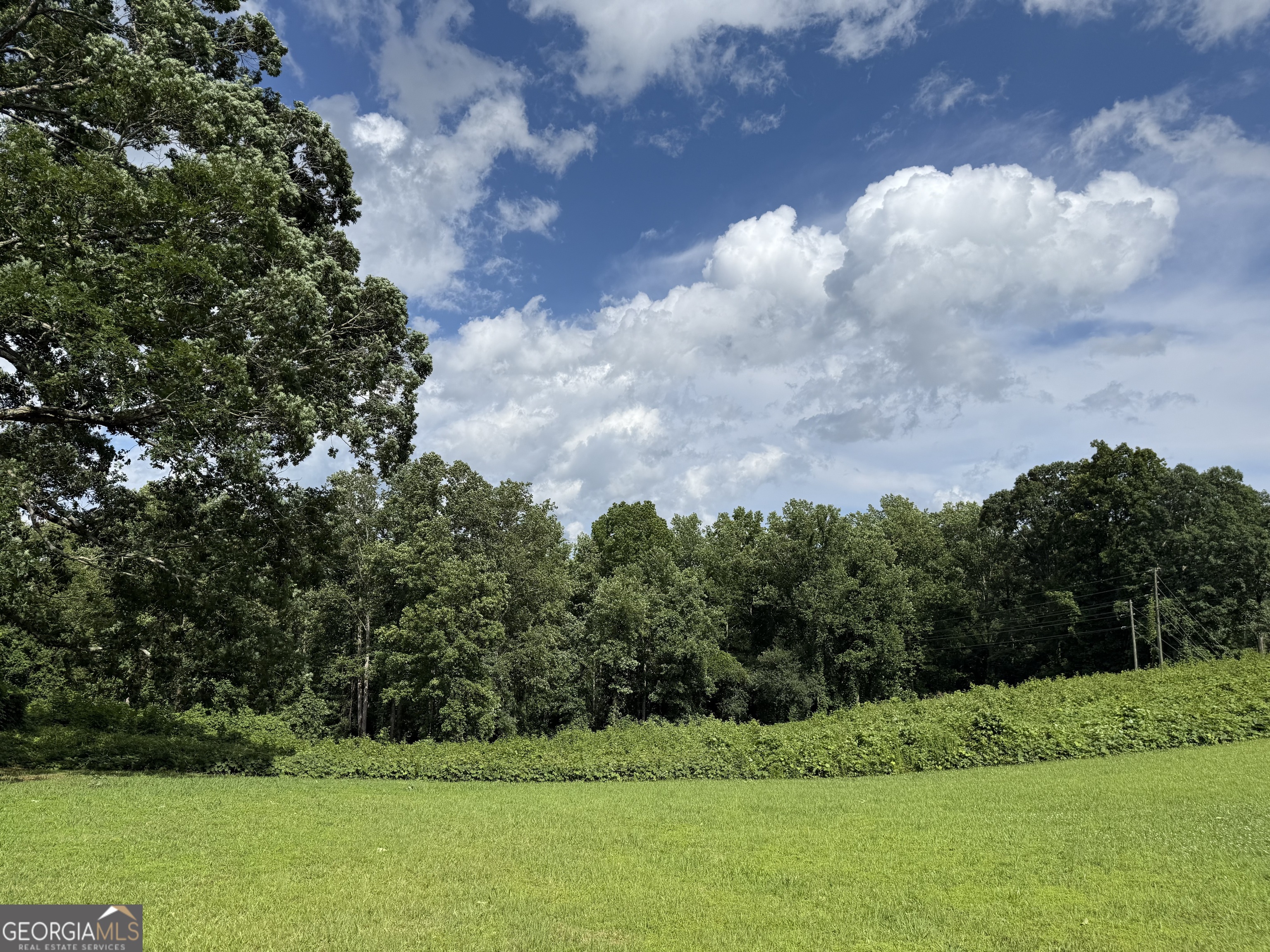 6552 Shoal Creek Road Clermont, GA 30527 - Photo 2 of 5 a view of a big yard