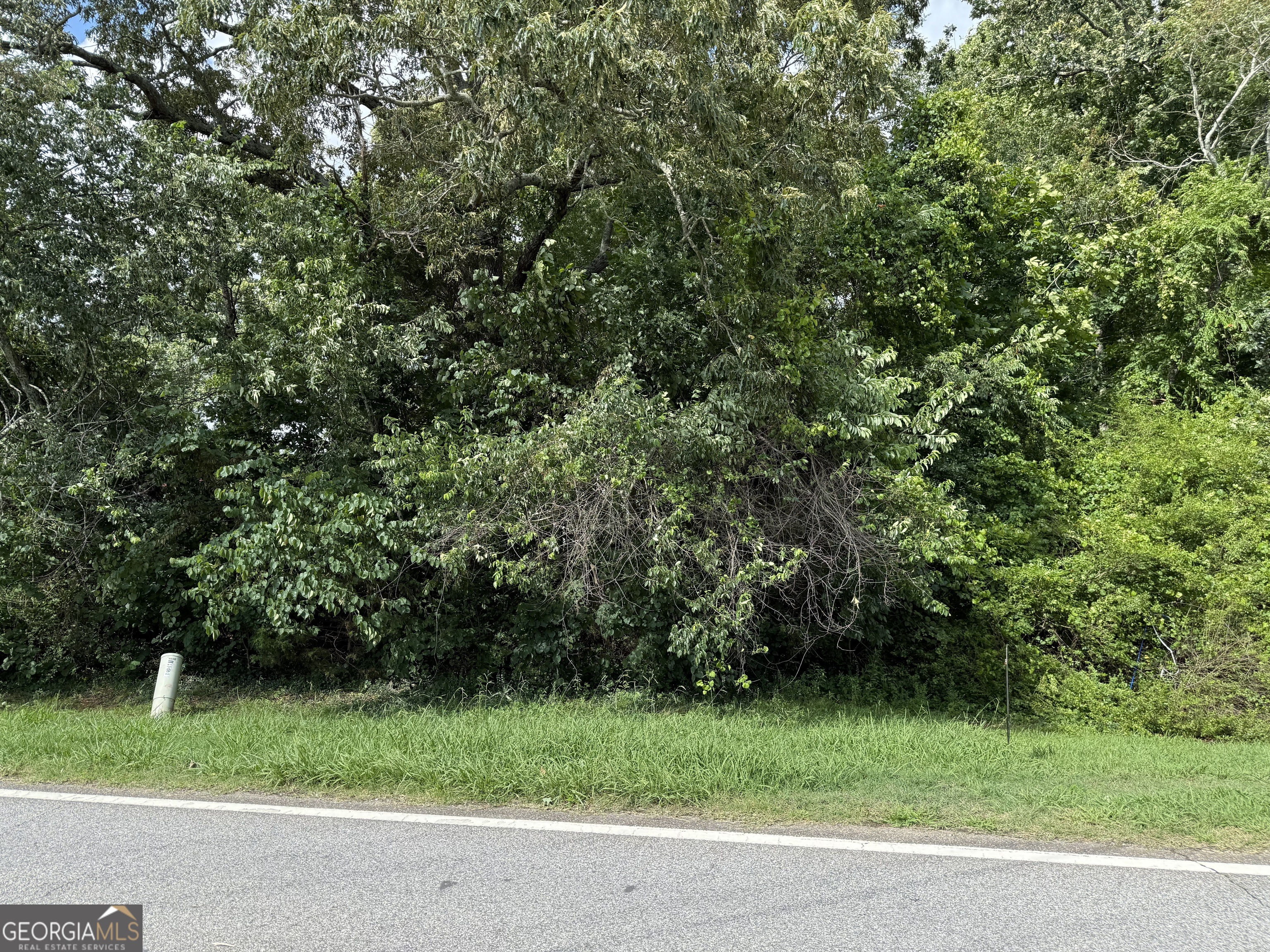 6552 Shoal Creek Road Clermont, GA 30527 - Photo 3 of 5 a view of a yard