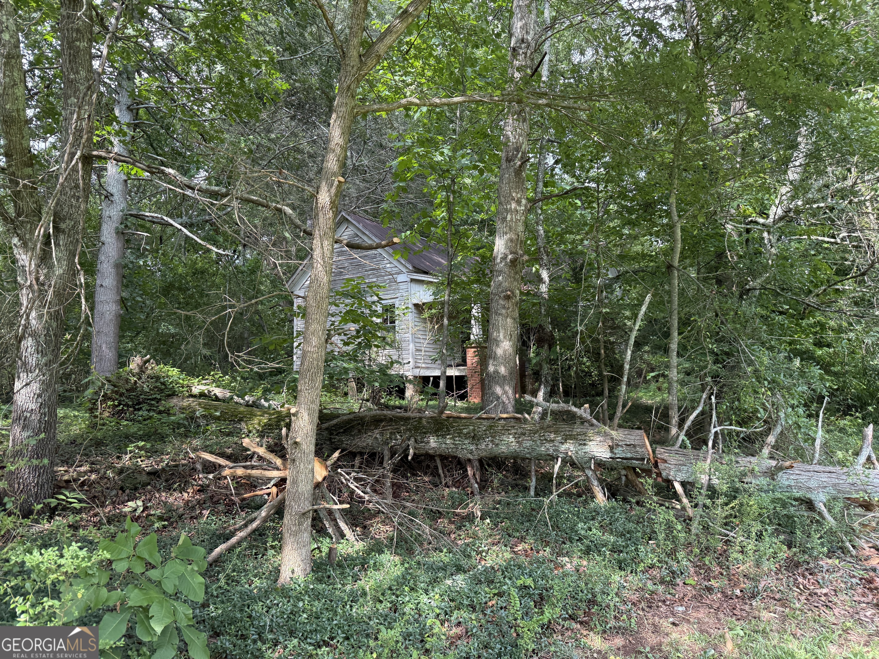 6552 Shoal Creek Road Clermont, GA 30527 - Photo 4 of 5 a view of swimming pool with outdoor seating and trees