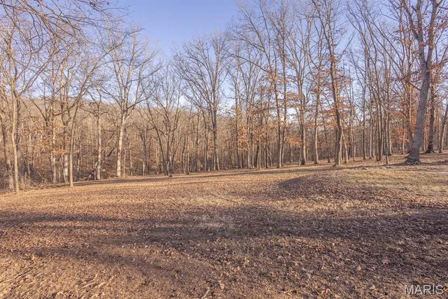 $360,000 | 15394 Villa Drive, Monroe City, MO 63456