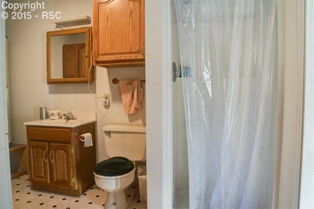 1095 Doe Valley Road Guffey, CO 80820 - Photo 17 of 21 Downstairs bathroom includes free standing shower, hot water heater and washer dryer hook up.