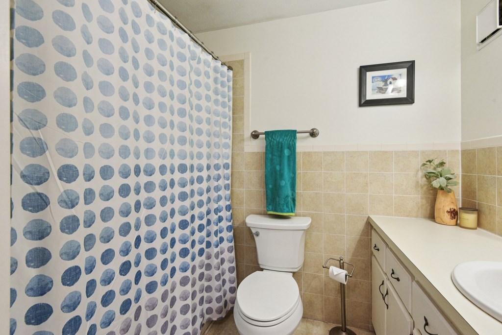 115 South Codrington Kerrville, TX 78028 - Photo 16 of 33 a white toilet sitting next to a bathroom sink