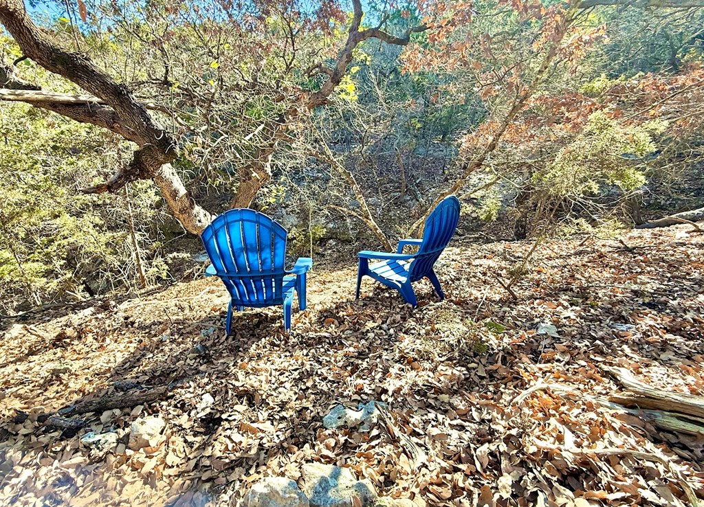 115 South Codrington Kerrville, TX 78028 - Photo 31 of 33 a backyard of a house with table and chairs