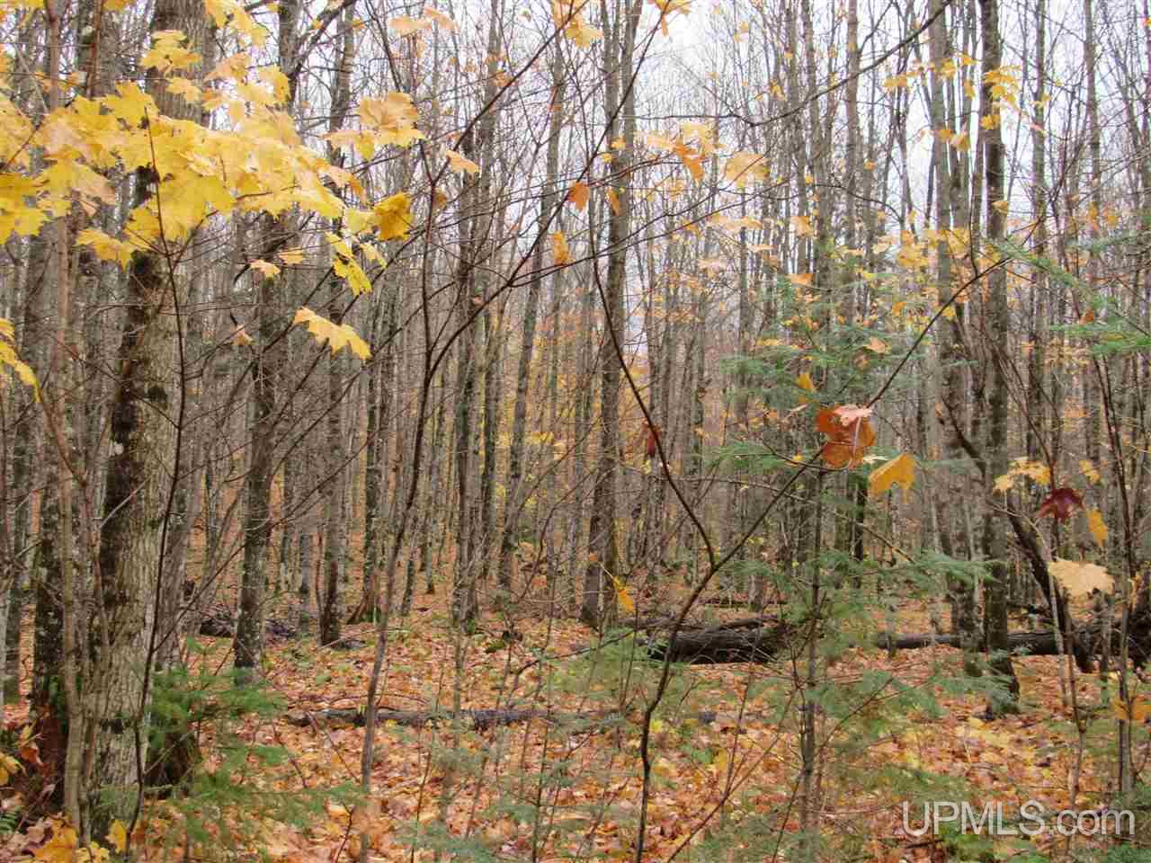River-connors Corner Road Iron River, MI 49935 - Photo 45 of 49
