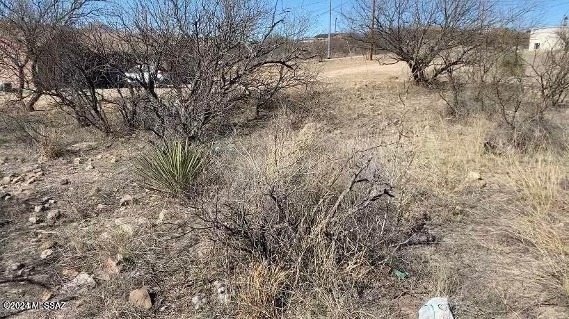 988 Calle Coyote, Unit 36 Rio Rico, AZ 85648 - Photo 7 of 9