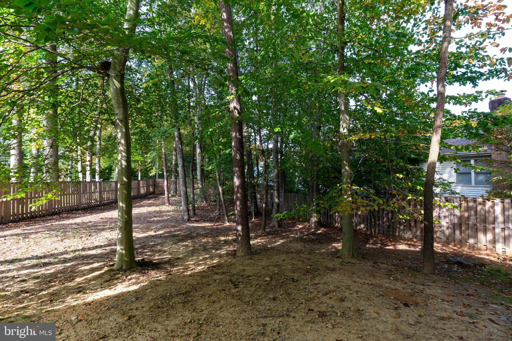 8317 Timber Brook Lane Springfield, VA 22153 - Photo 36 of 40 Gallery Image 36