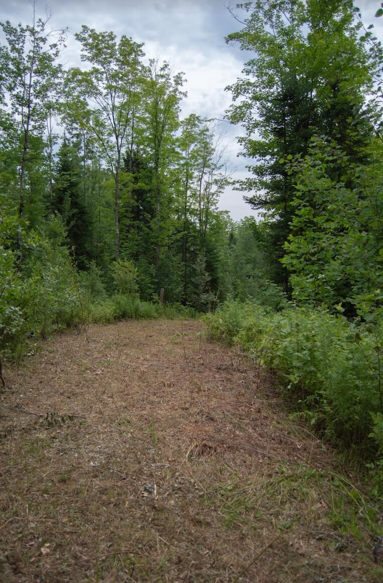 0 Sawyers Mills Road Starks, ME 04911 - Photo 2 of 14 Road to Lemon Stream