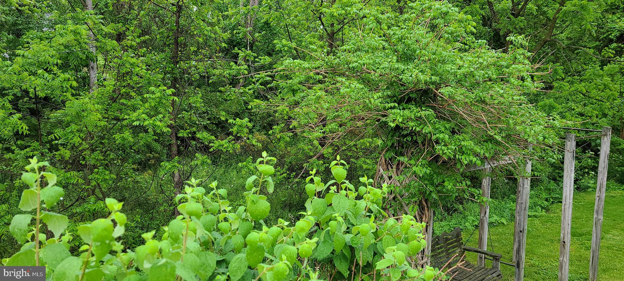2423 Patton Road Harrisburg, PA 17112 - Photo 29 of 61 Gallery Image 29