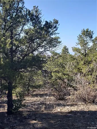 a view of a yard with lots of bushes