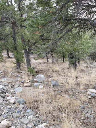 a view of a dry field with trees