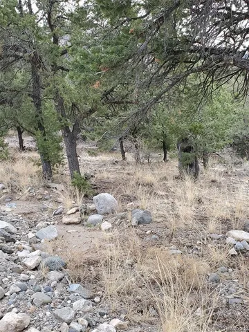 a view of a dry field with trees