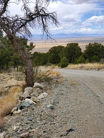 a view of dirt yard with a large tree