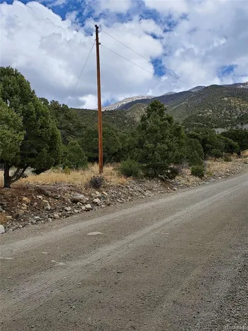 a view of a road with a large trees