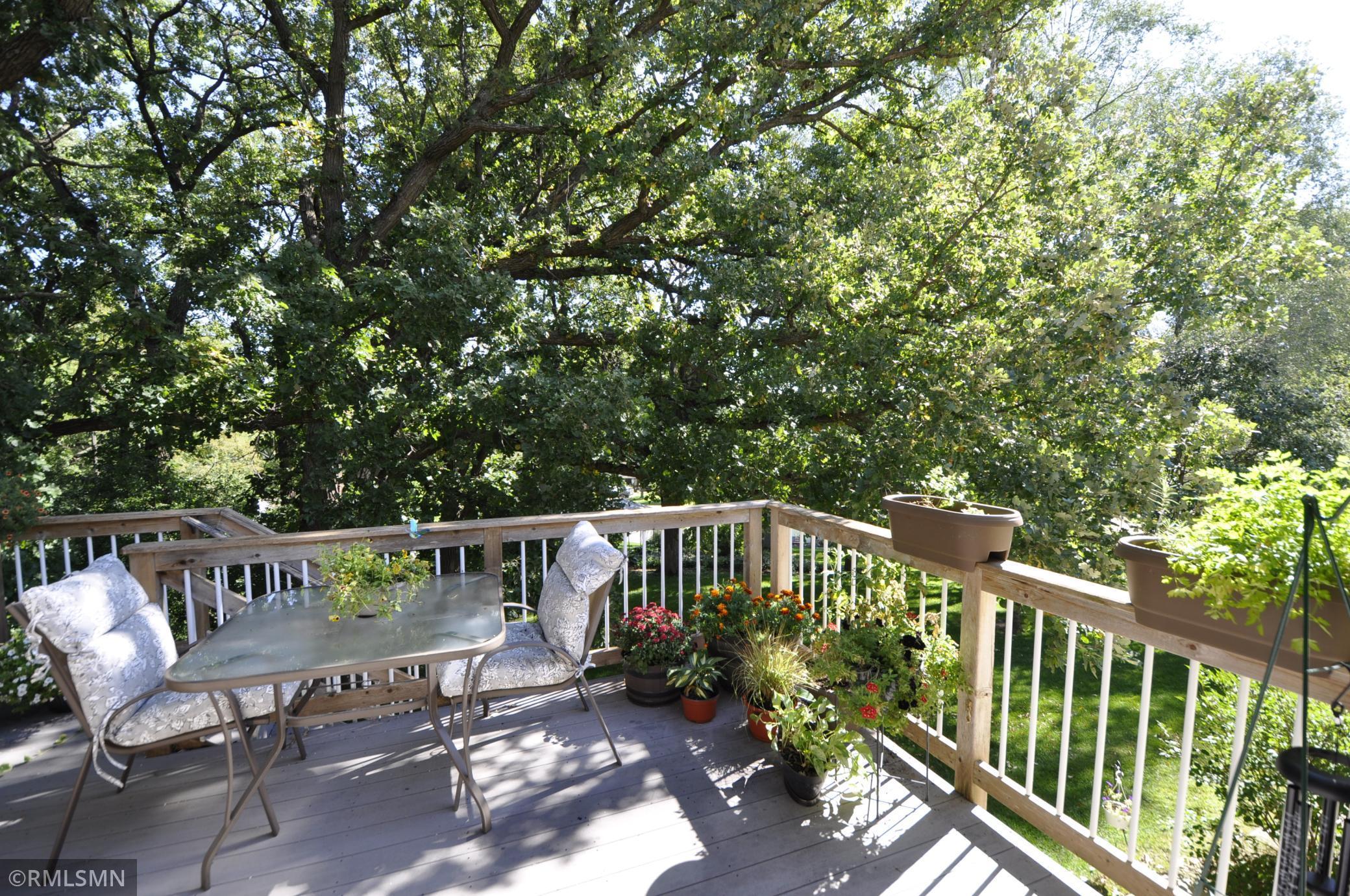 2672 Hawk Ridge Court Southeast Rochester, MN 55904 - Photo 9 of 40 Gallery Image 9