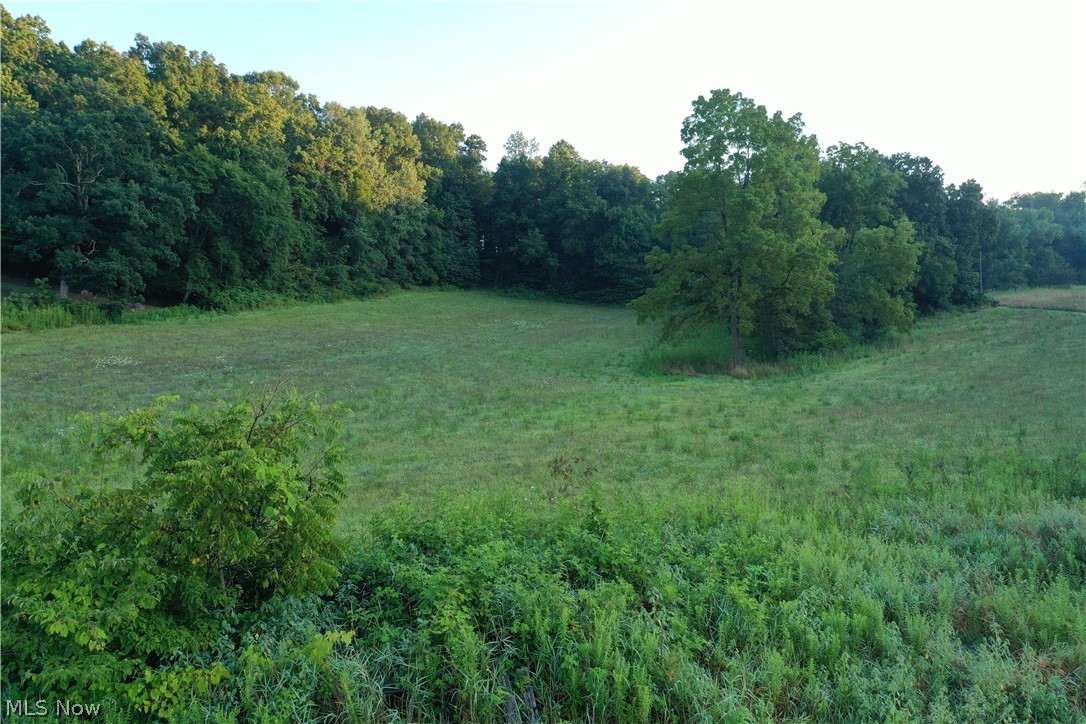2575 Co Road Loudonville, OH 44842 - Photo 12 of 44 Expansive grassy field bordered by mature trees