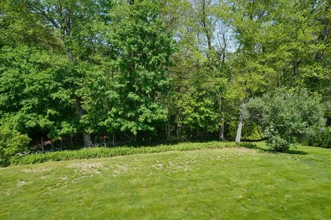 a view of green field with trees in the background