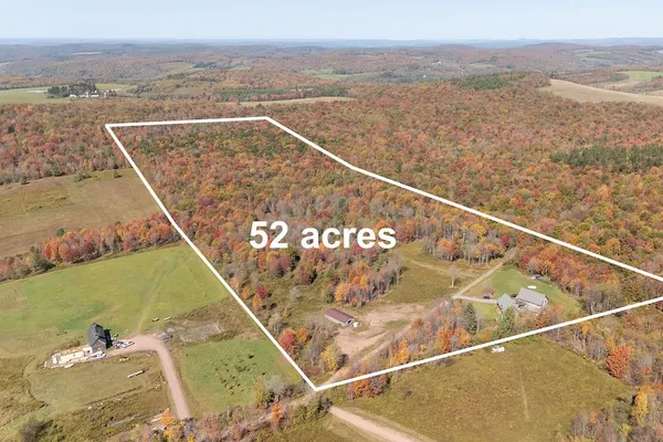 $355,000 | 799 Old Hayes Road, Meredith, NY 13753
