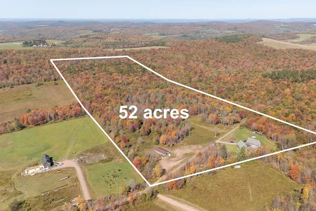 $399,999 | 799 Old Hayes Road, Meredith, NY 13753