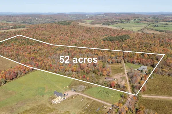 $355,000 | 799 Old Hayes Road, Meredith, NY 13753