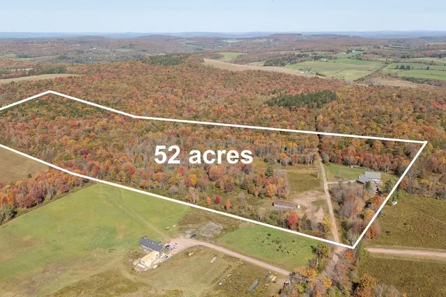 $399,999 | 799 Old Hayes Road, Meredith, NY 13753