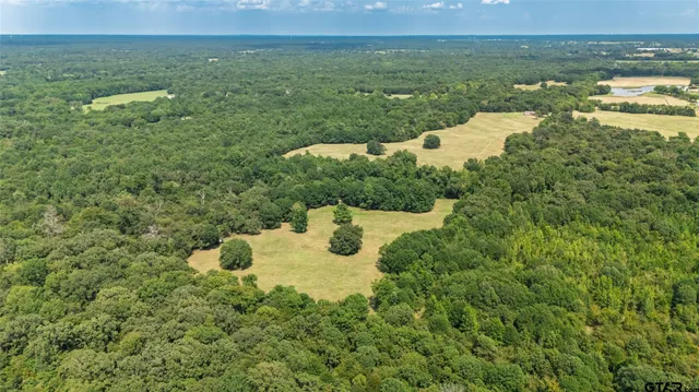 a view of a lake with a mountain in the back