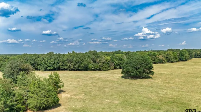 a view of a yard with an tree