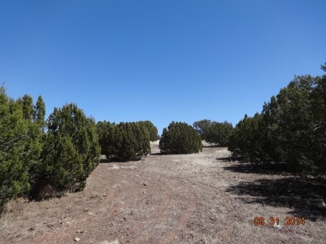8294 High Plains Road Show Low, AZ 85901 - Photo 2 of 71