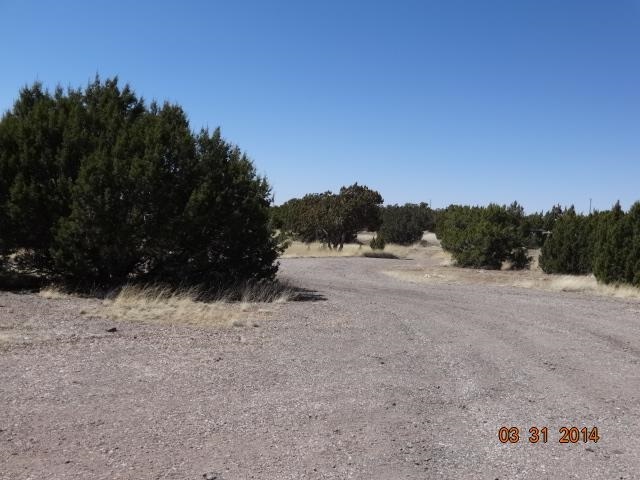 8294 High Plains Road Show Low, AZ 85901 - Photo 3 of 71