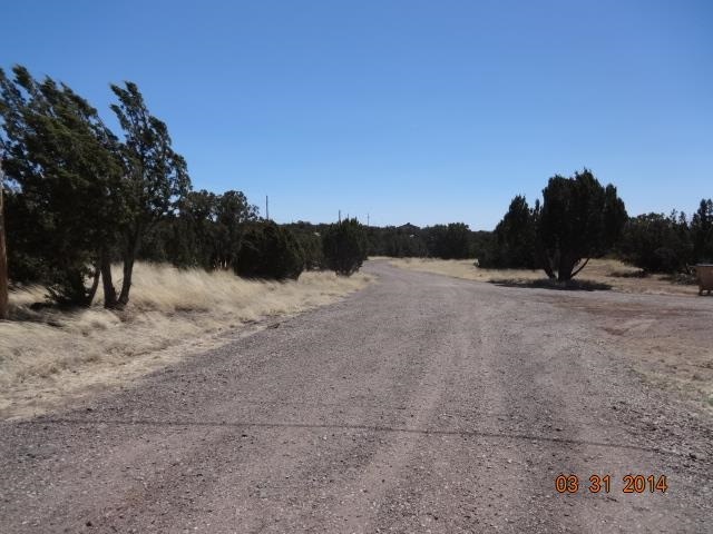 8294 High Plains Road Show Low, AZ 85901 - Photo 4 of 71