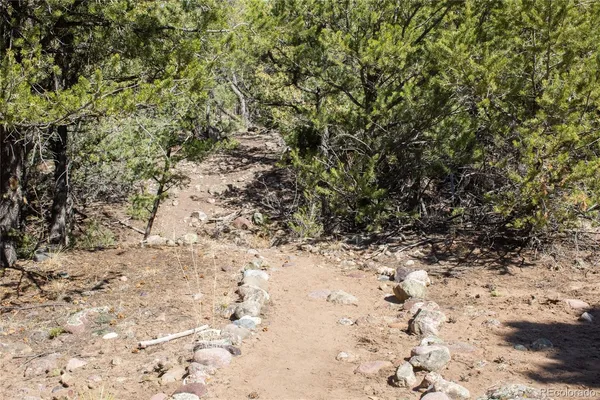 a view of a yard with a fountain