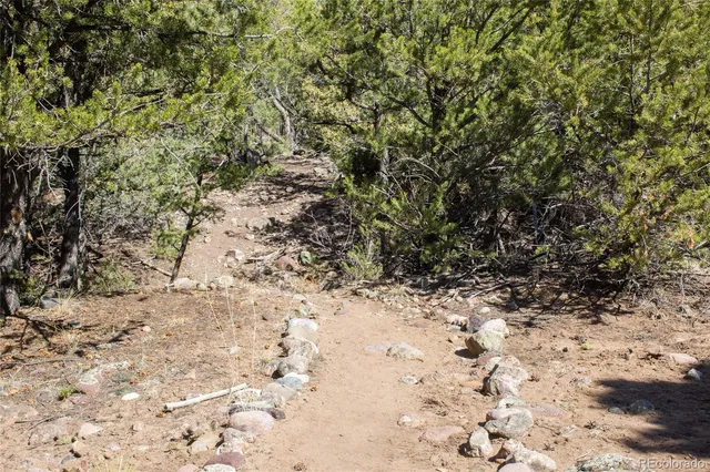 a view of a yard with a fountain