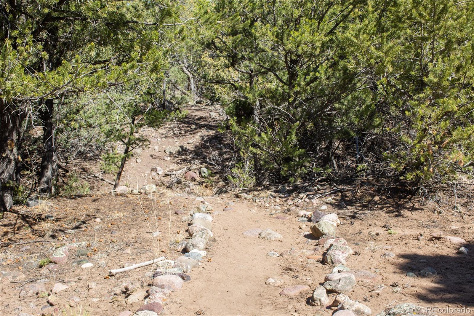 147 Moonlight Way Crestone, CO 81131 - Photo 44 of 47 a view of a yard covered with snow
