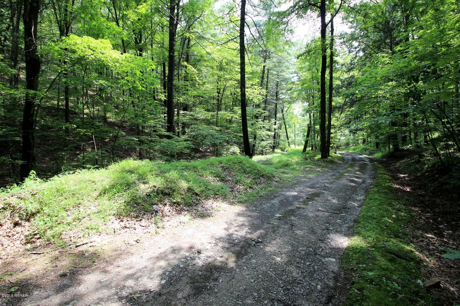 0 Antis Run Road Howard, PA 16841 - Photo 6 of 6 006