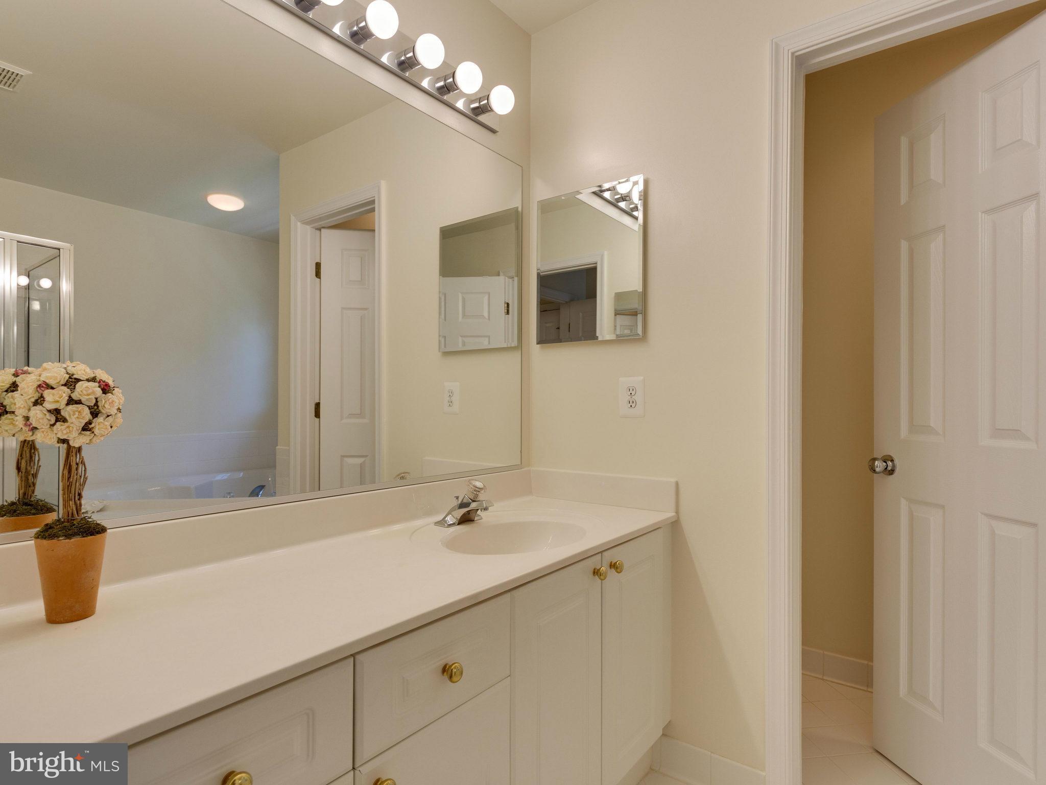6102 Deer Ridge Trail Springfield, VA 22150 - Photo 25 of 30 Bath (Master)