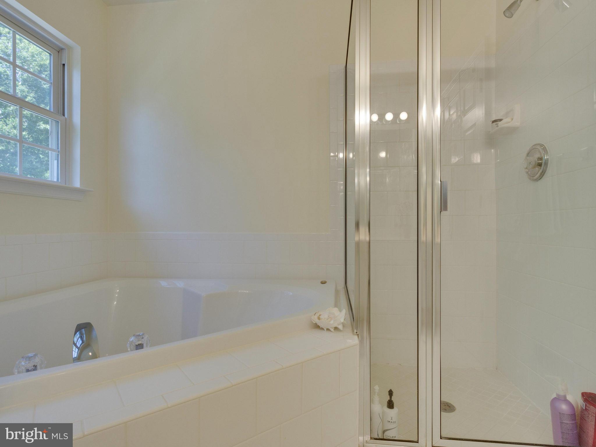 6102 Deer Ridge Trail Springfield, VA 22150 - Photo 26 of 30 Bath (Master)