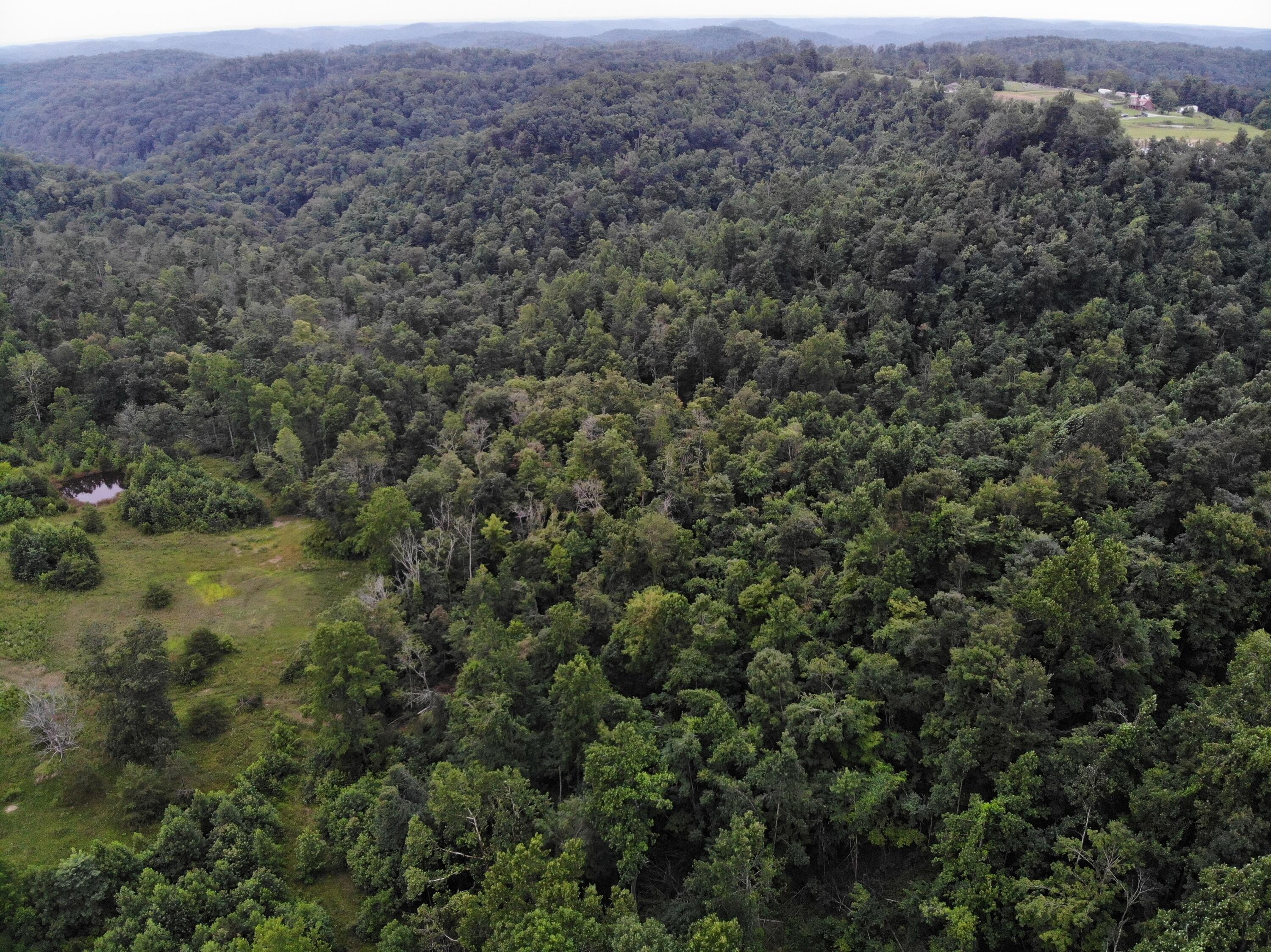 9015 McKee Road Irvine, KY 40336 - Photo 4 of 33 DJI_0005