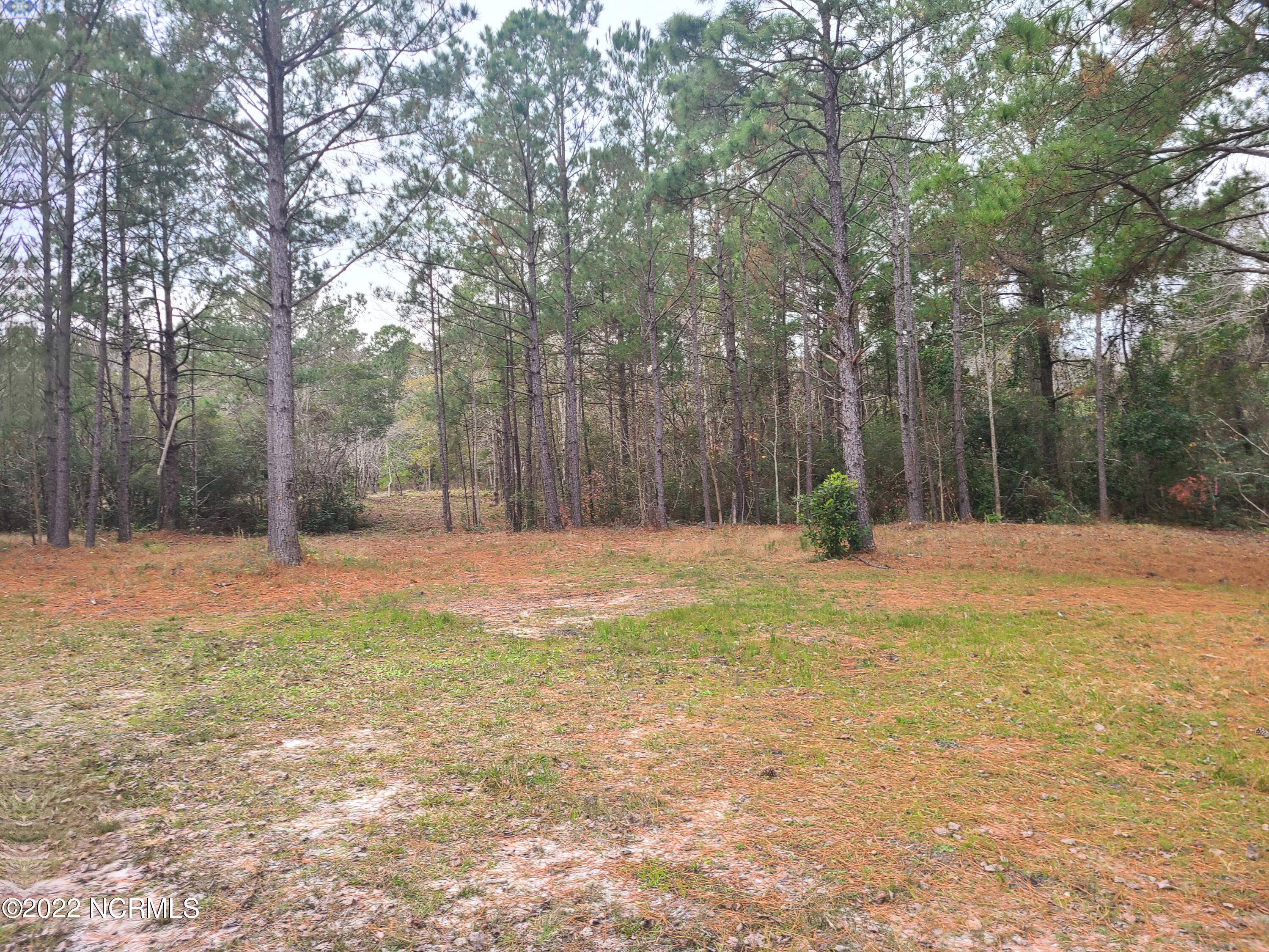 104 Machine Gun Road Hampstead, NC 28443 - Photo 2 of 8 20221214_115604