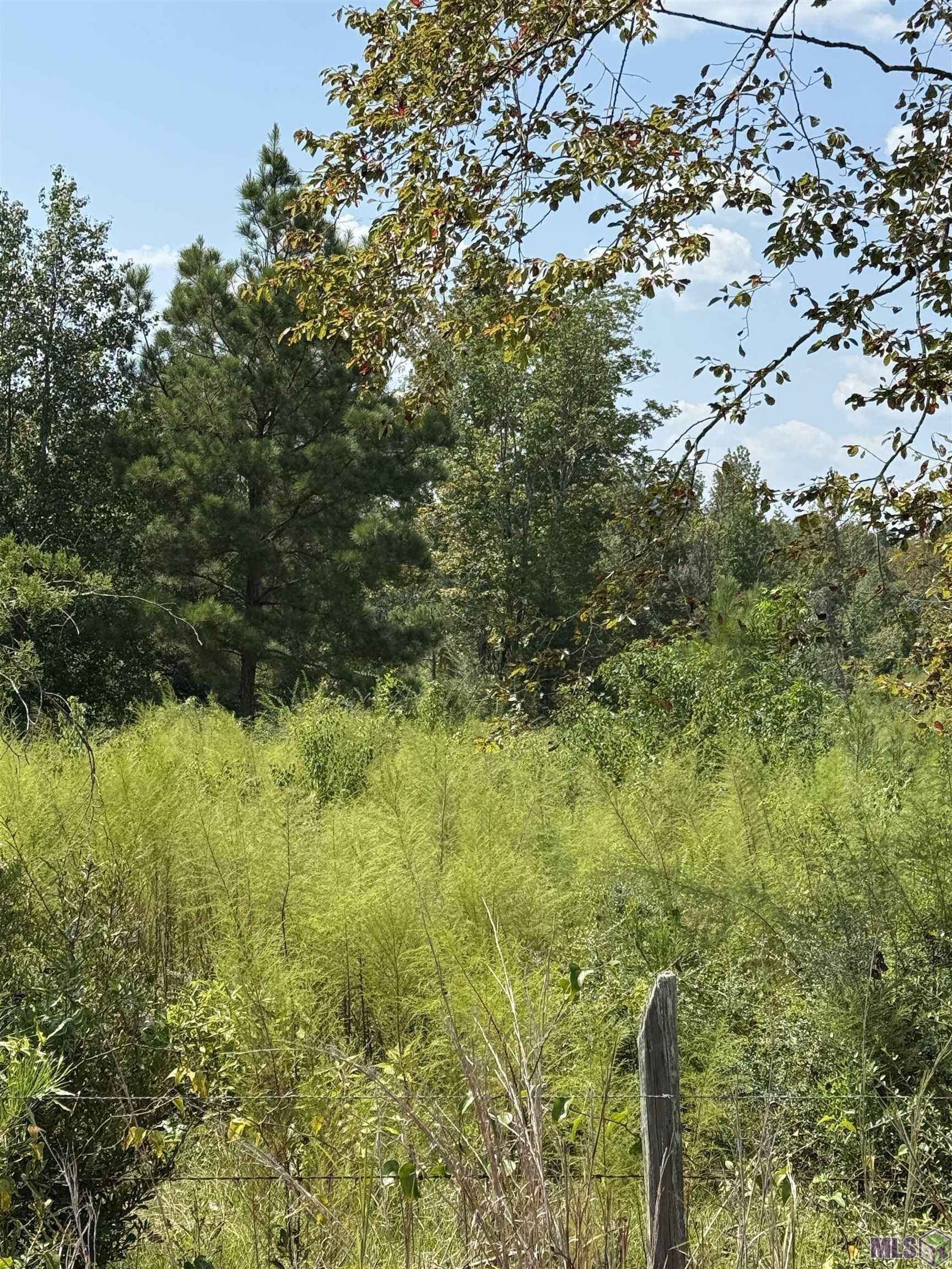 0 Alex Road Gloster, MS 39638 - Photo 3 of 7