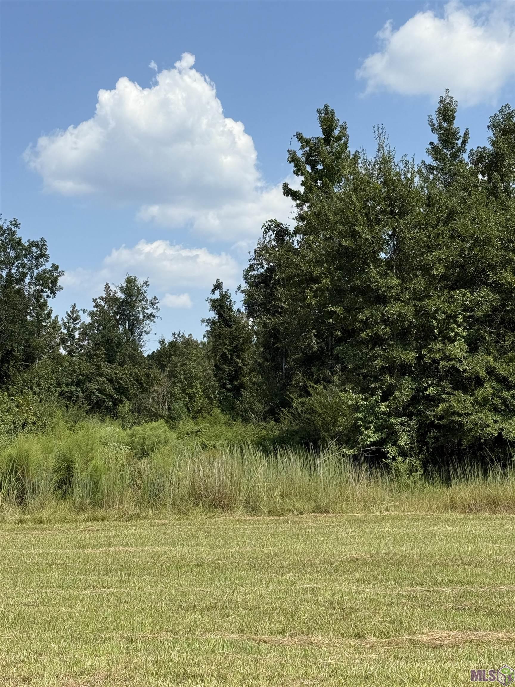 0 Alex Road Gloster, MS 39638 - Photo 4 of 7