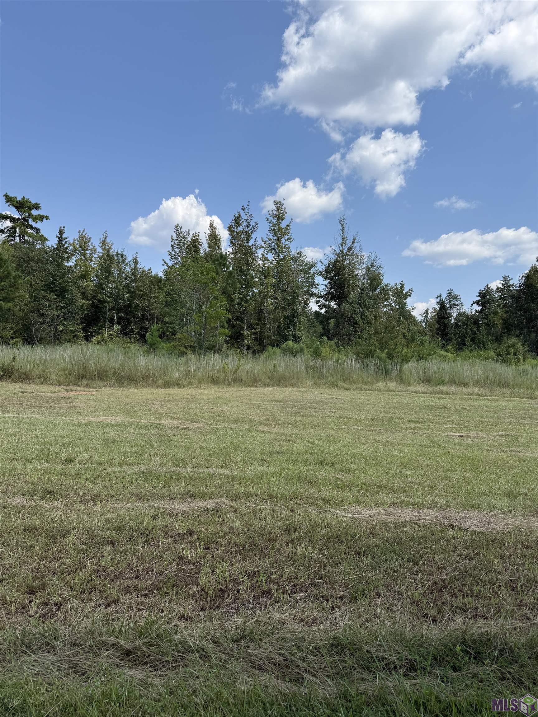 0 Alex Road Gloster, MS 39638 - Photo 5 of 7