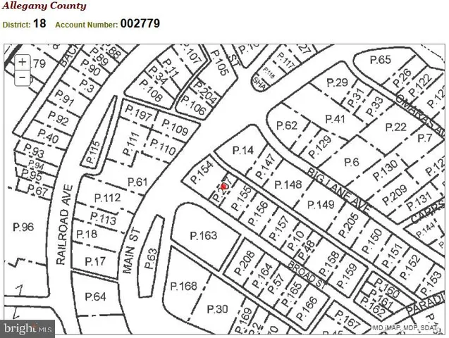 a view of a garden with a plant