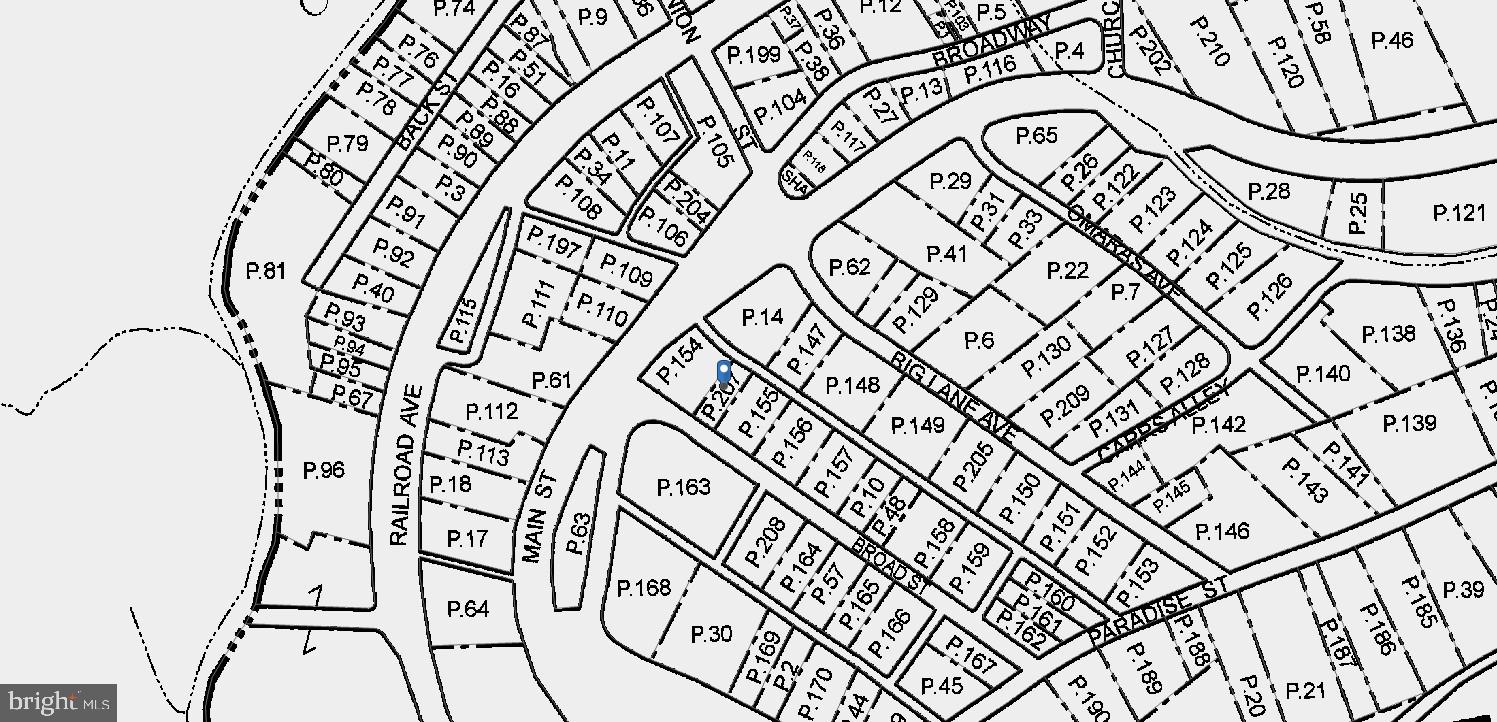 19823 Broad Street Midland, MD 21532 - Photo 5 of 5 wooden floor with a white comforter and a shower curtain