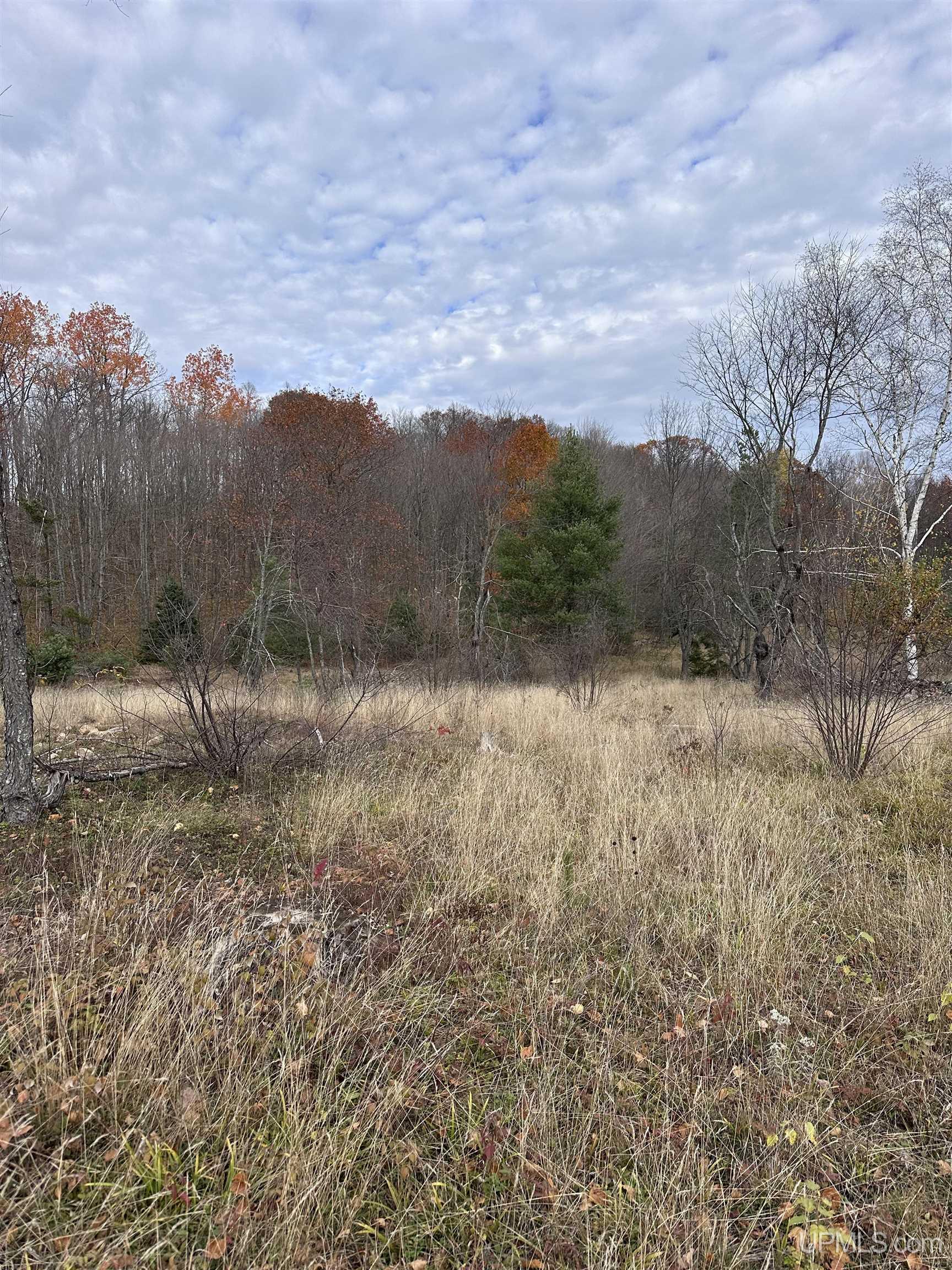 Tbd Co Rd 496 (b) Road, Unit PARCEL B Champion, MI 49814 - Photo 8 of 33