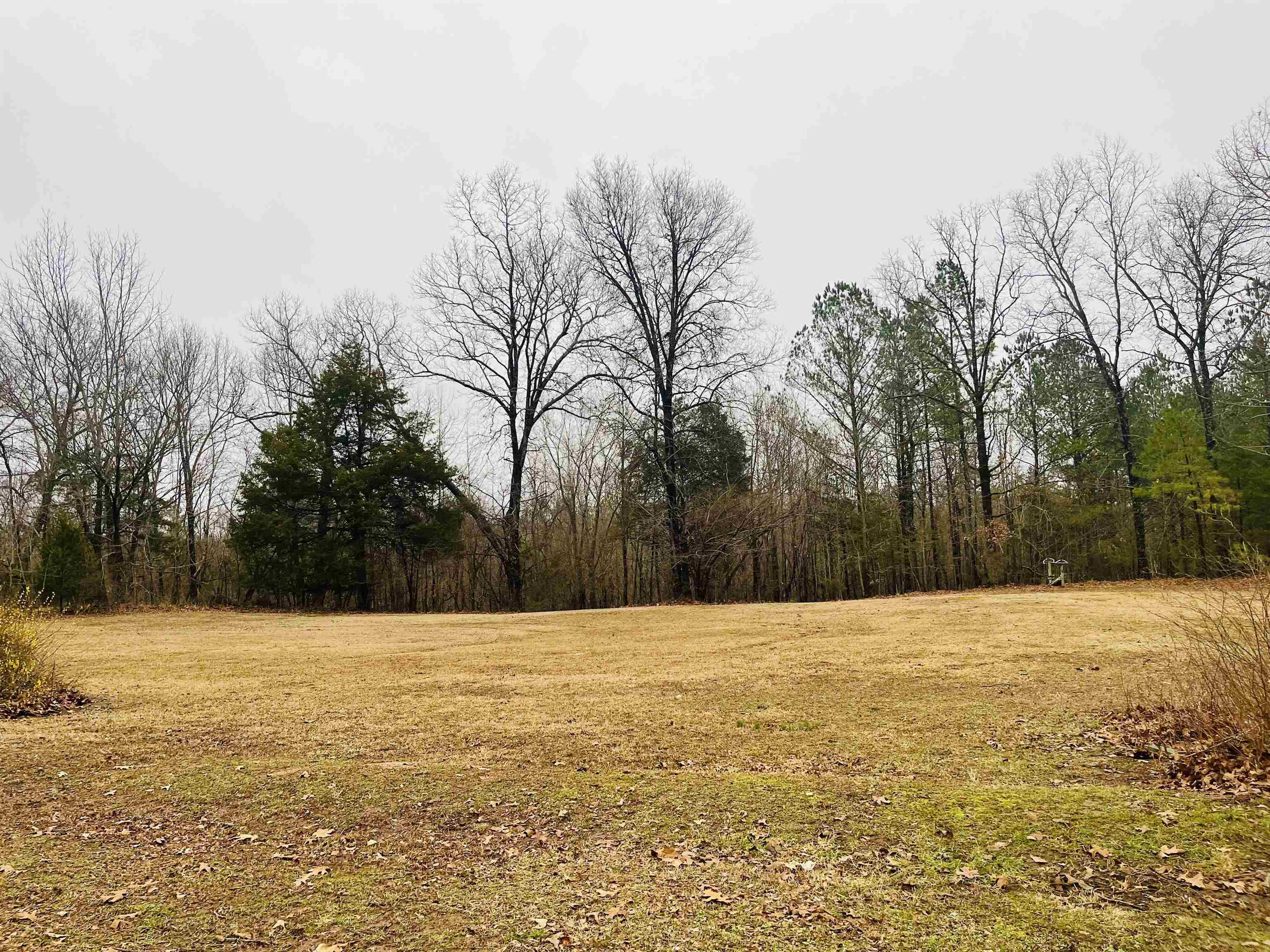 1551 Dillon Road Michie, TN 38357 - Photo 18 of 20 Gallery Image 18