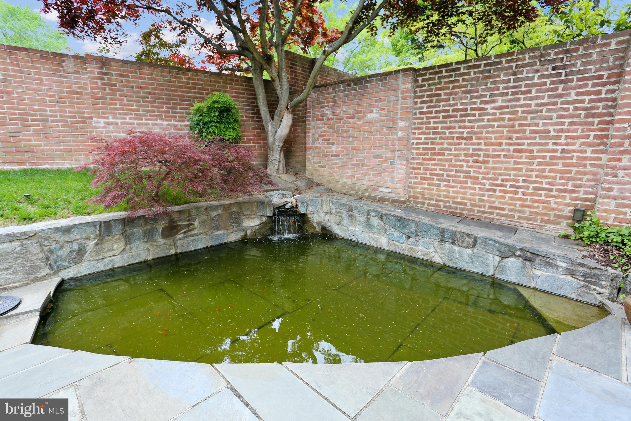 4412 Boxwood Road Bethesda, MD 20816 - Photo 31 of 77 Koi pond which can be pool (really)