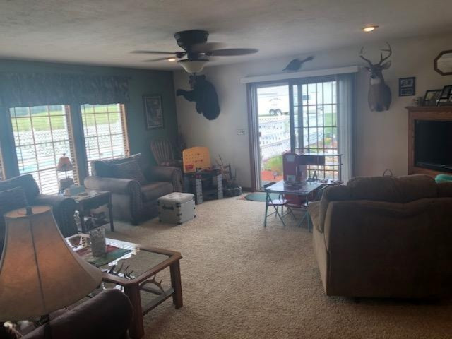 4800 9 Mile Road Remus, MI 49340 - Photo 22 of 37 Family Rm