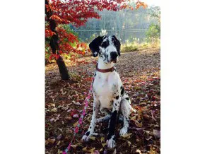 $1,945 | 100 Sentinel Court, Unit 111, Manchester, NH 03103