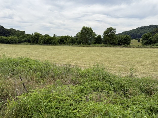 200 Max Lane Rickman, TN 38580 - Photo 51 of 54